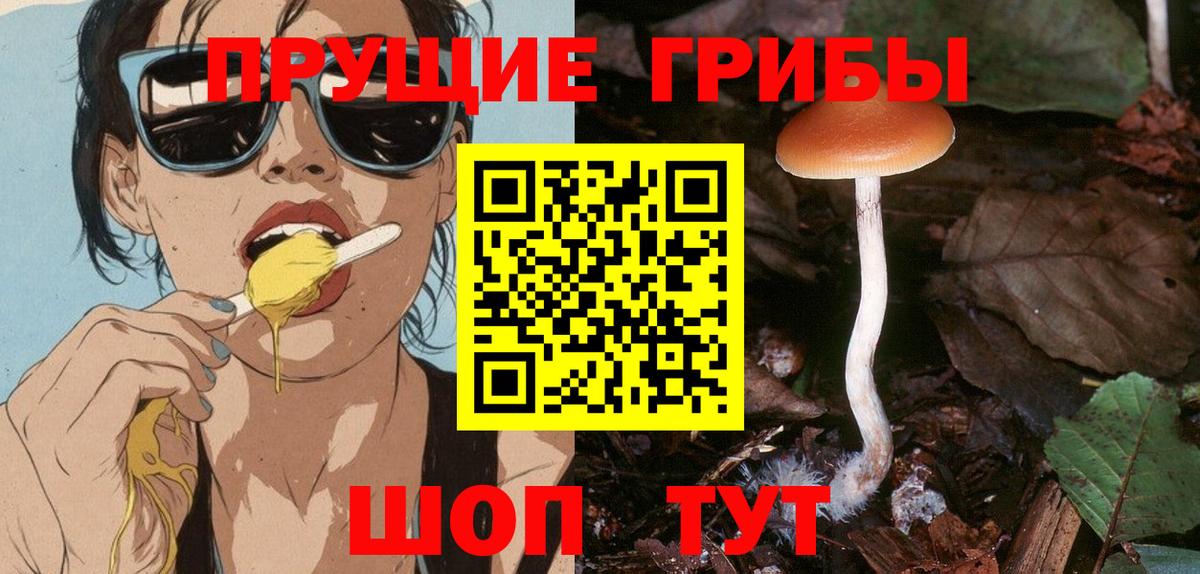 Галлюциногенные грибы Magic Shrooms Усолье-Сибирское